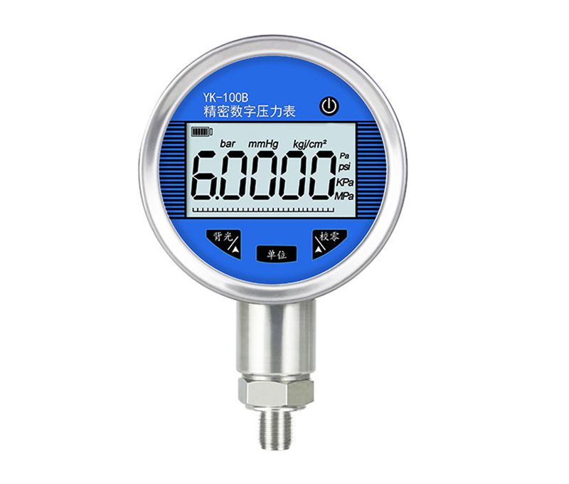 <b>RS485通讯型数字压力表</b>